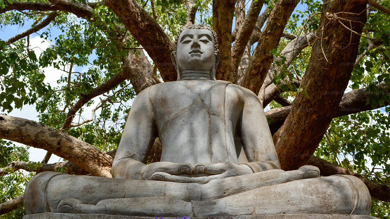 Metsikute imede ja pühade ruumide tuur Galle'ist (2 päeva)