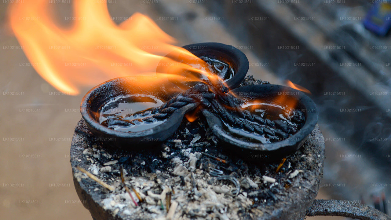 Metsikute imede ja pühade ruumide tuur Galle'ist (2 päeva)