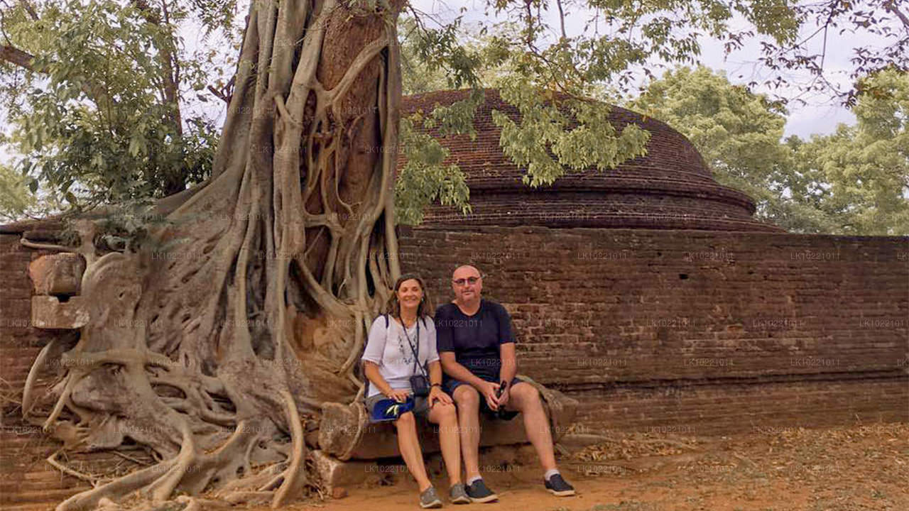 Anuradhapura Kandyst (2 päeva)