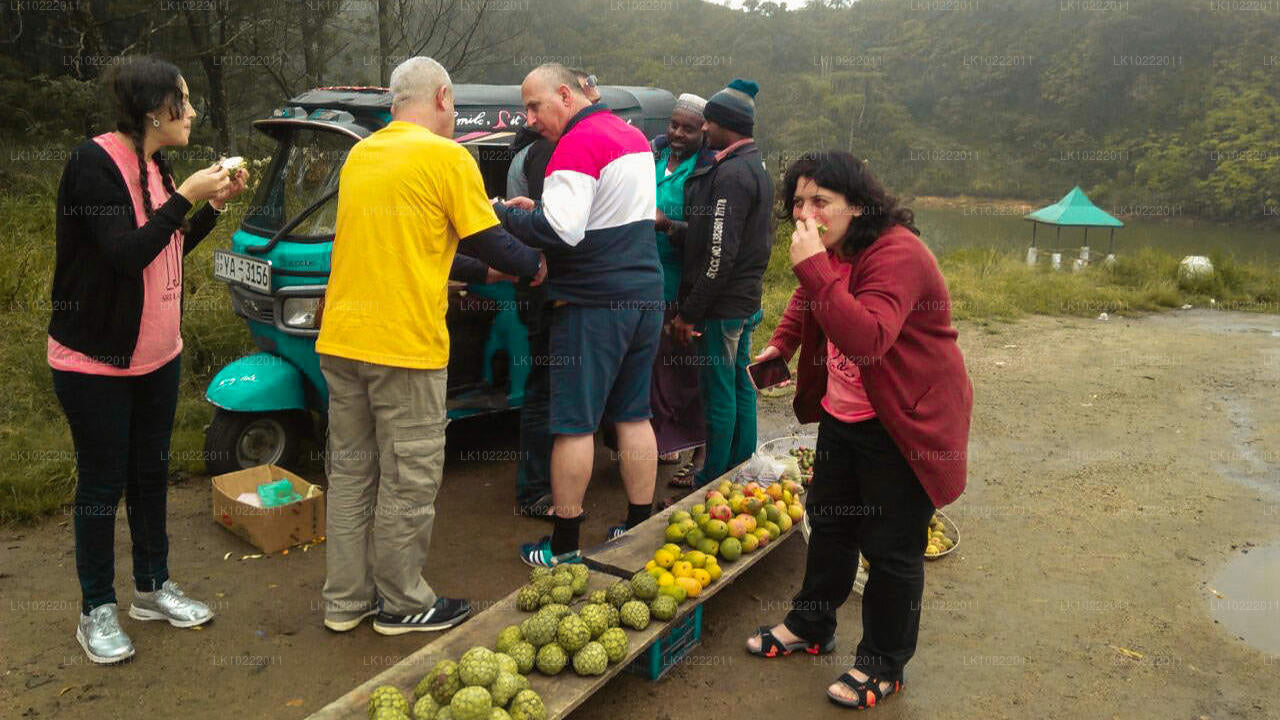 Kandyst pärit Highland Glory (2 päeva)