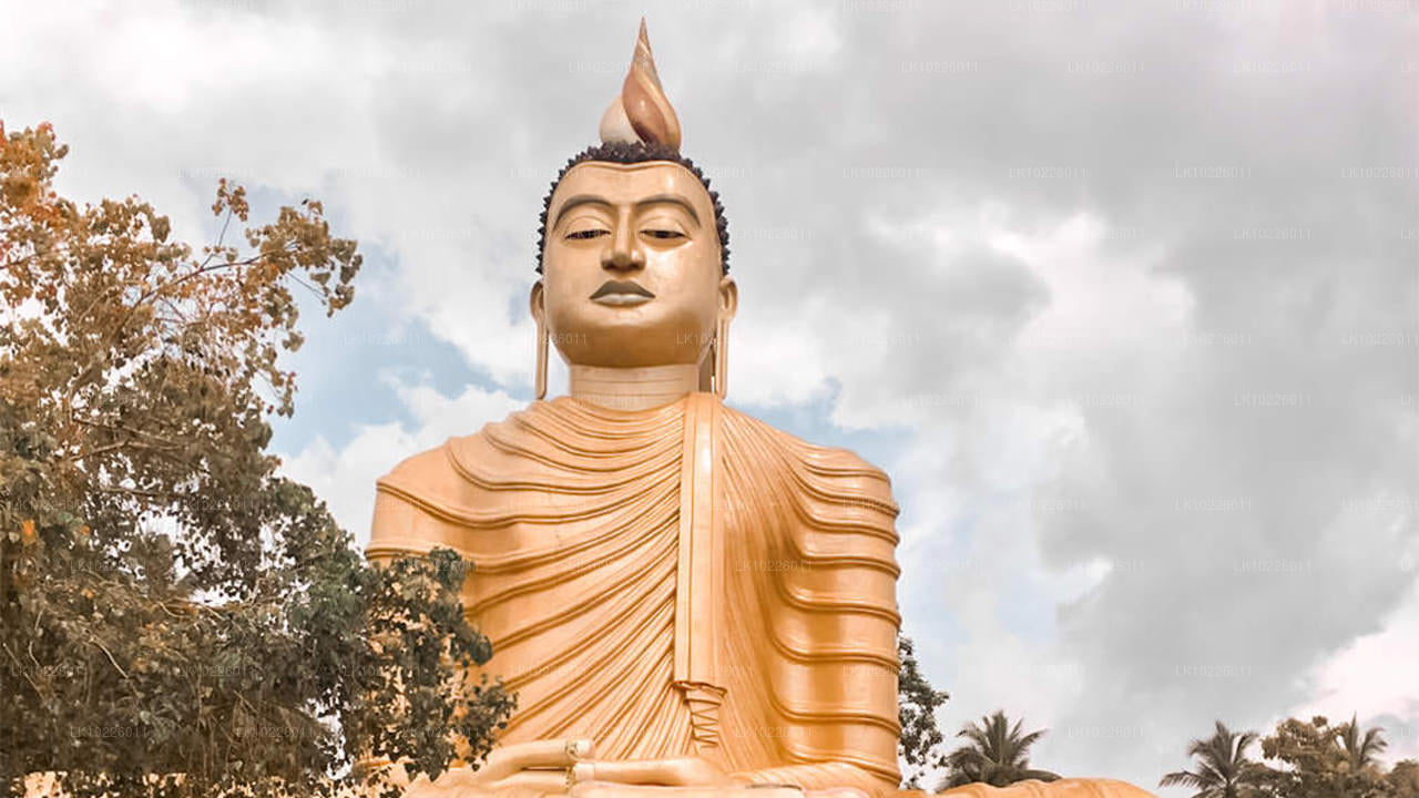 Negombo templid ja metsik loodus (2 päeva)