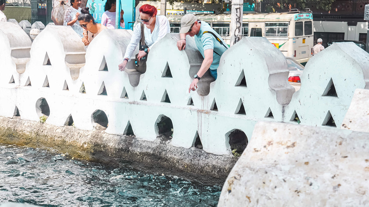 Mägede kultuurituur Galle'ist (2 päeva)