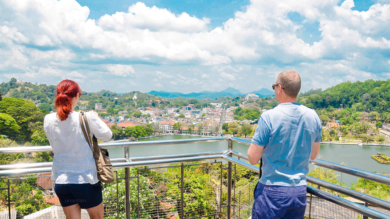 Mägede kultuurituur Galle'ist (2 päeva)