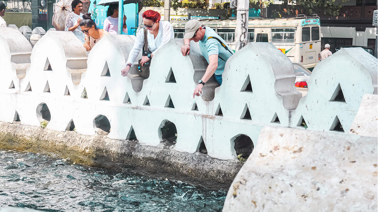 Mägede kultuurituur Hikkaduwast (2 päeva)