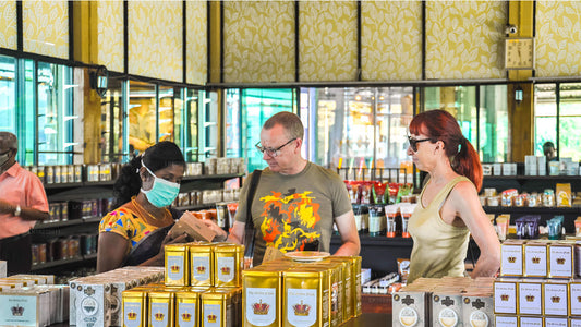 Udumägede rajad Galle'ist (2 päeva)