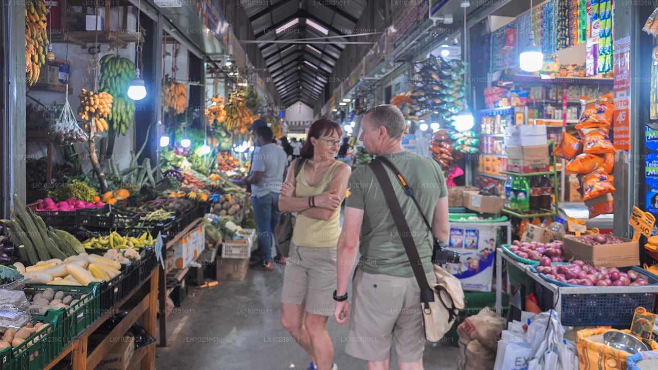 Udumägede rajad Galle'ist (2 päeva)