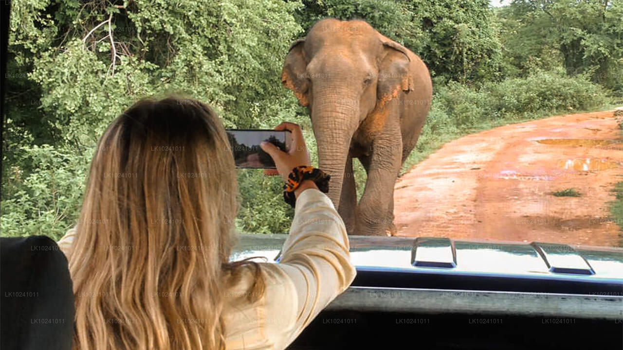 Udawalawe Hikkaduwast (2 päeva)