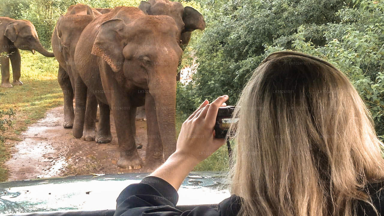 Udawalawe Hikkaduwast (2 päeva)