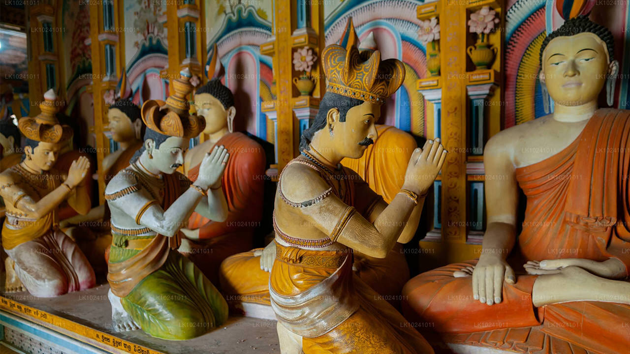 Udawalawe Hikkaduwast (2 päeva)