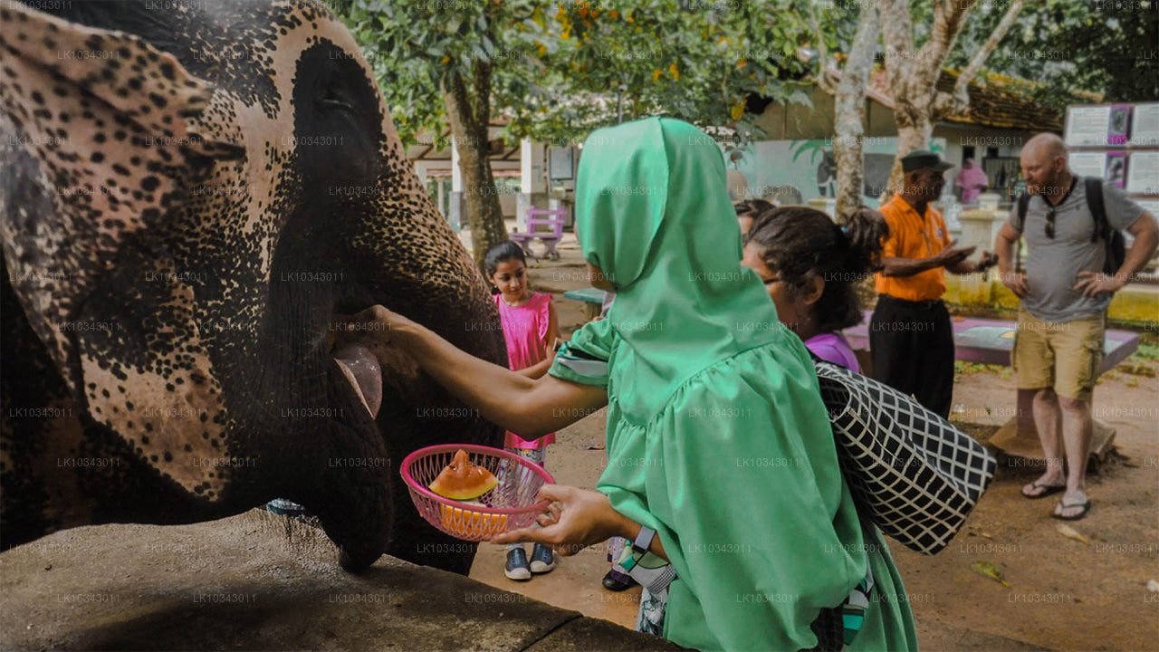 Imede saar (3 päeva)