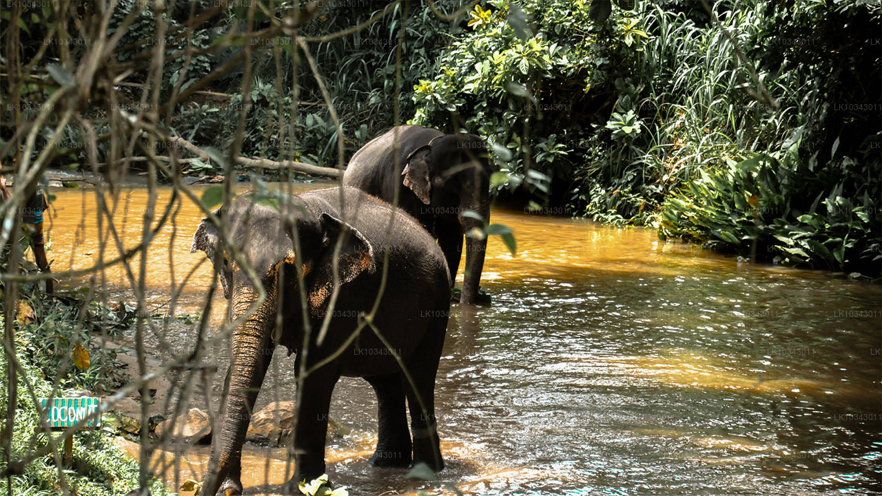 Imede saar (3 päeva)