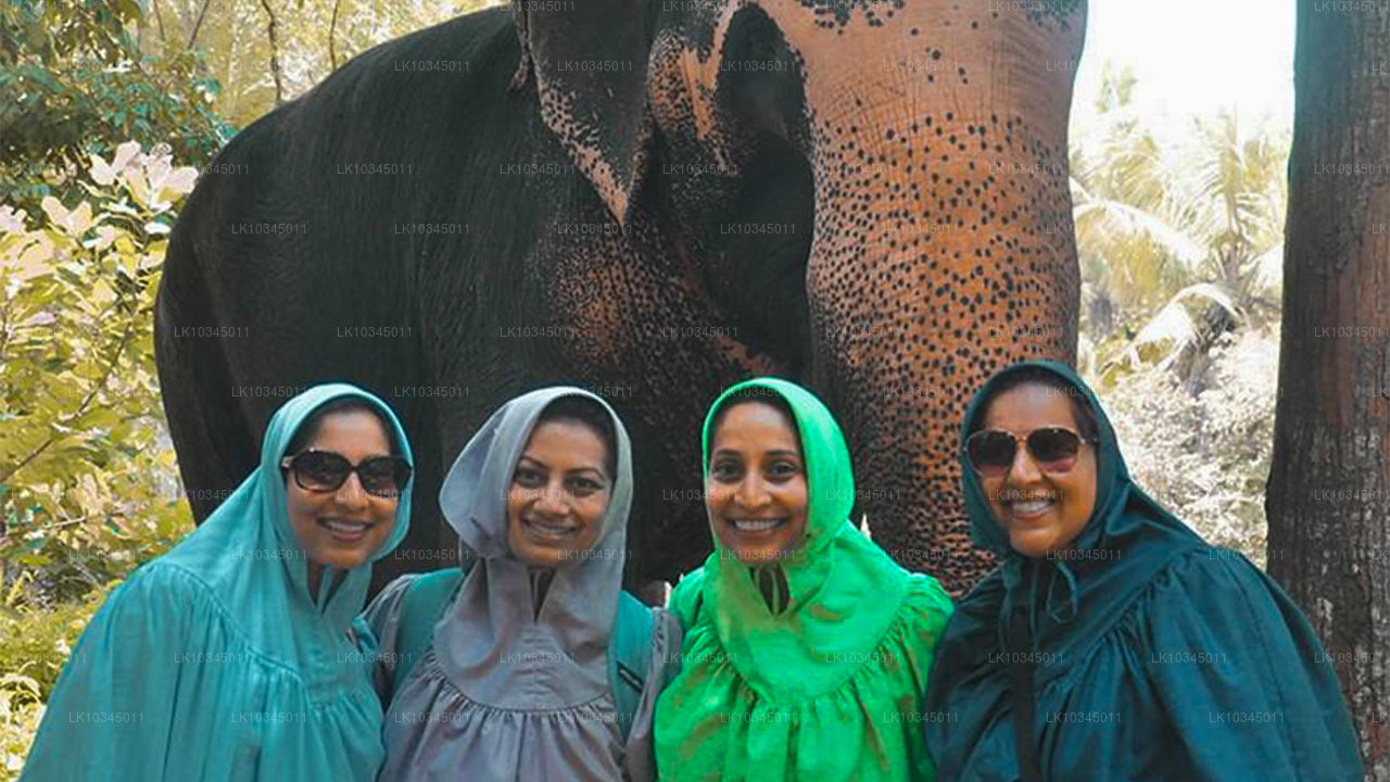 Sri Lanka viimane kuningriik Colombost (3 päeva)