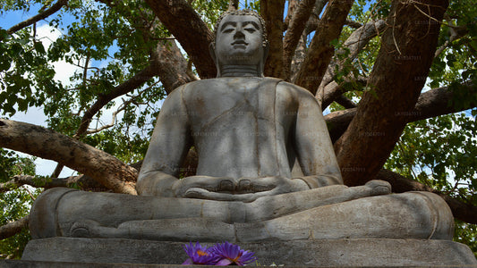 Anuradhapura püha linn Colombost (3 päeva)