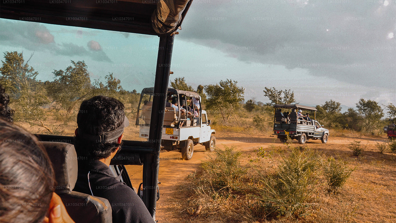 Anuradhapura püha linn Colombost (3 päeva)