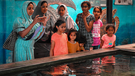 Hubane Sri Lanka (3 päeva)