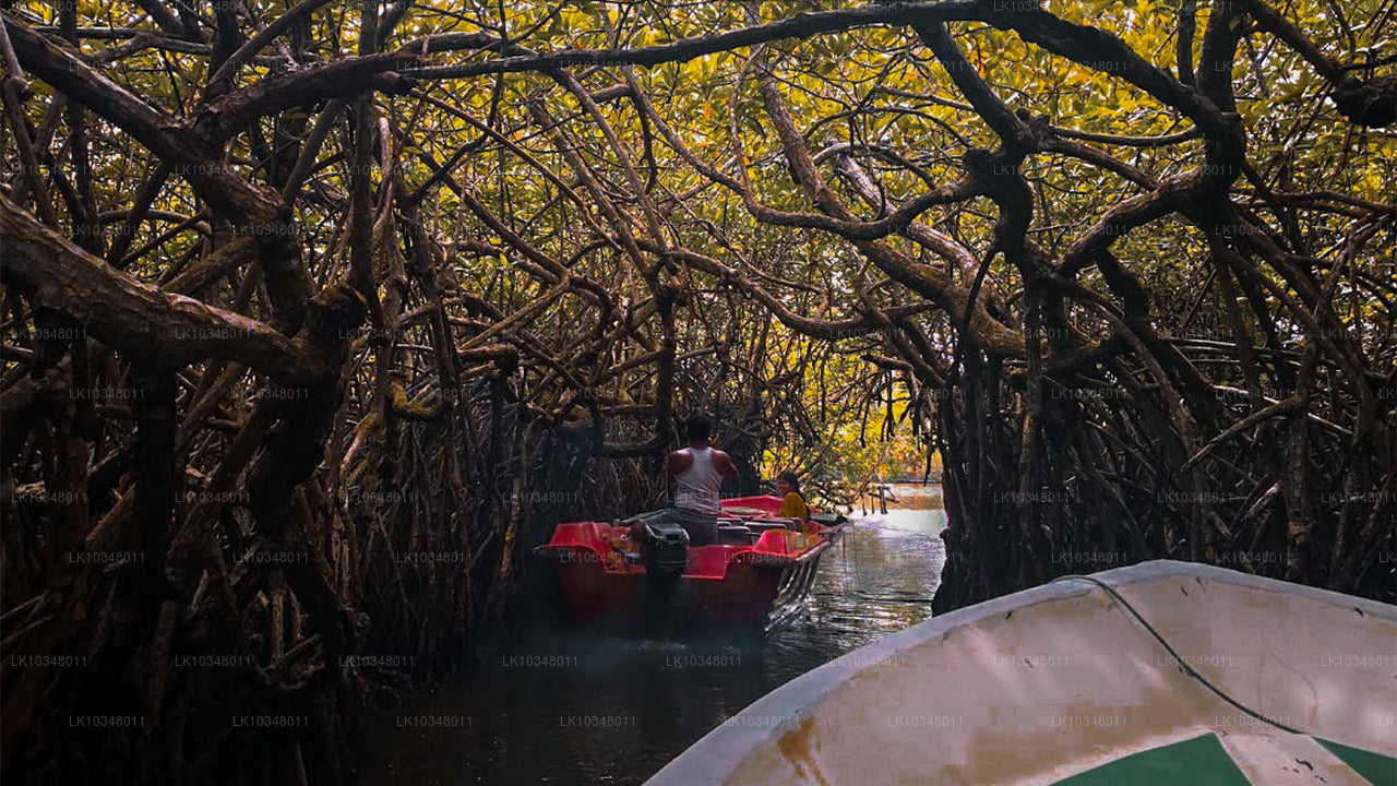 Hubane Sri Lanka (3 päeva)