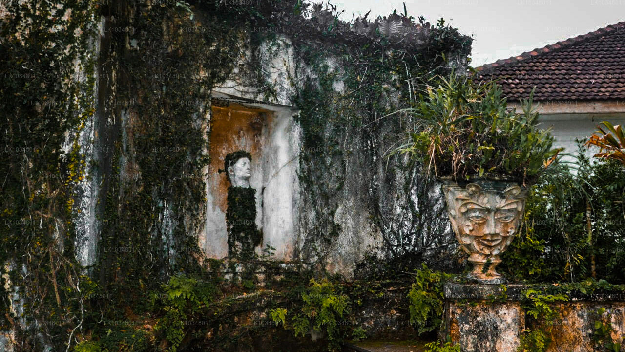 Hubane Sri Lanka (3 päeva)