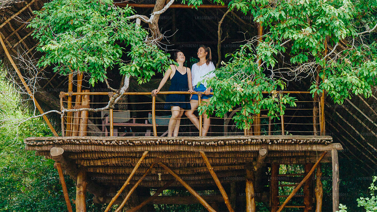 Sri Lanka ökoreisid (3 päeva)