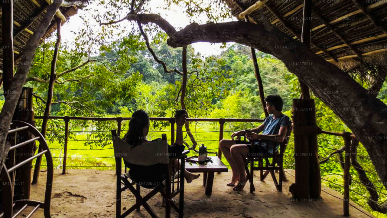 Sri Lanka ökoreisid (3 päeva)