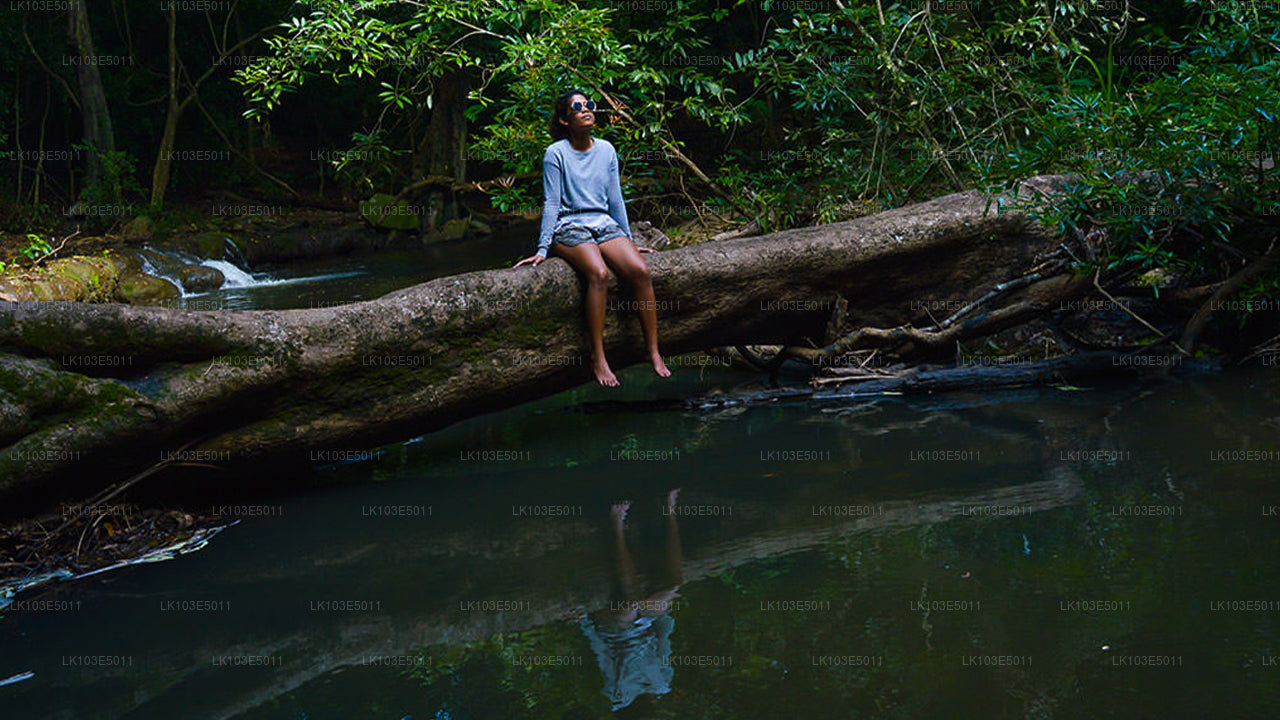 Sri Lanka ökoreisid (3 päeva)