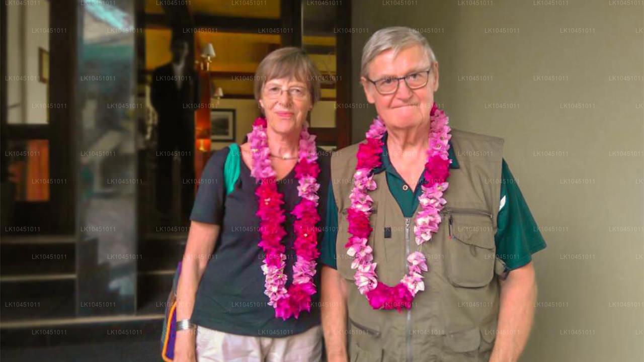 Colombost Lanka ümbruses (4 päeva)