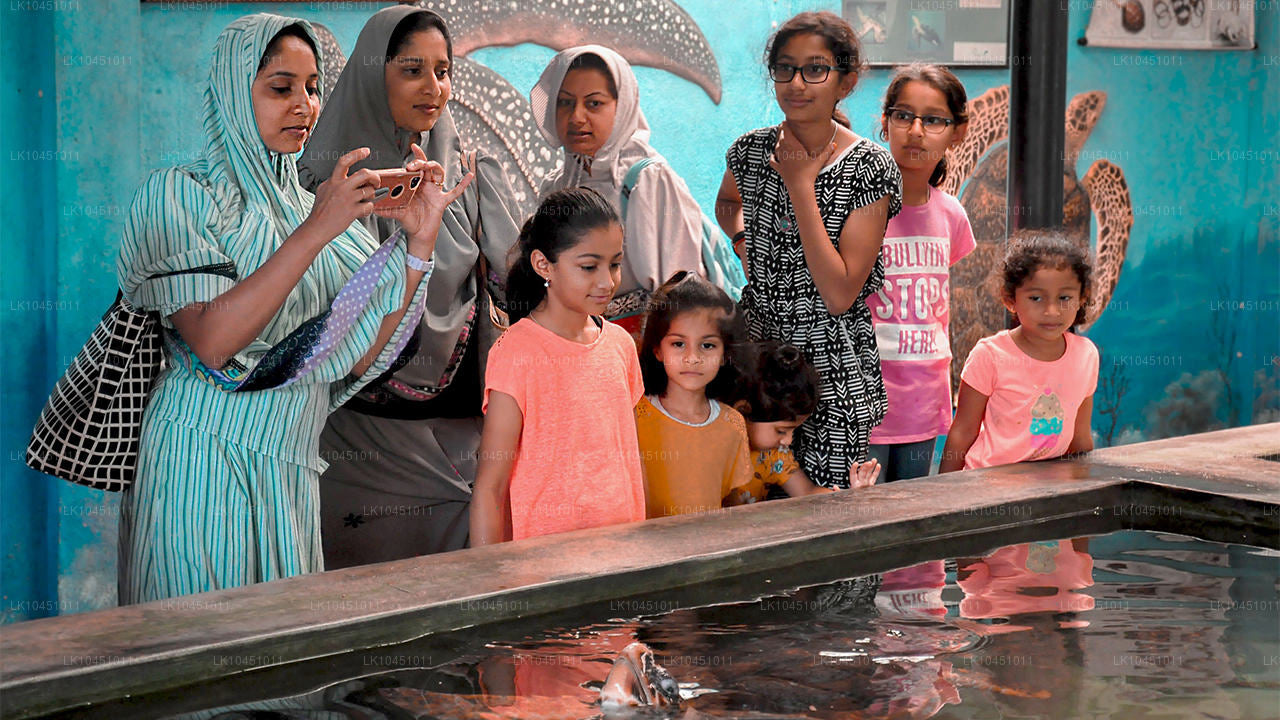 Colombost Lanka ümbruses (4 päeva)