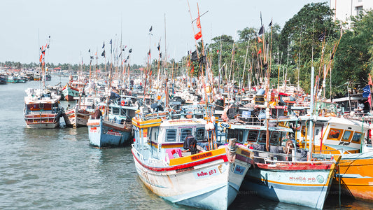 Rand ja linn (4 päeva)