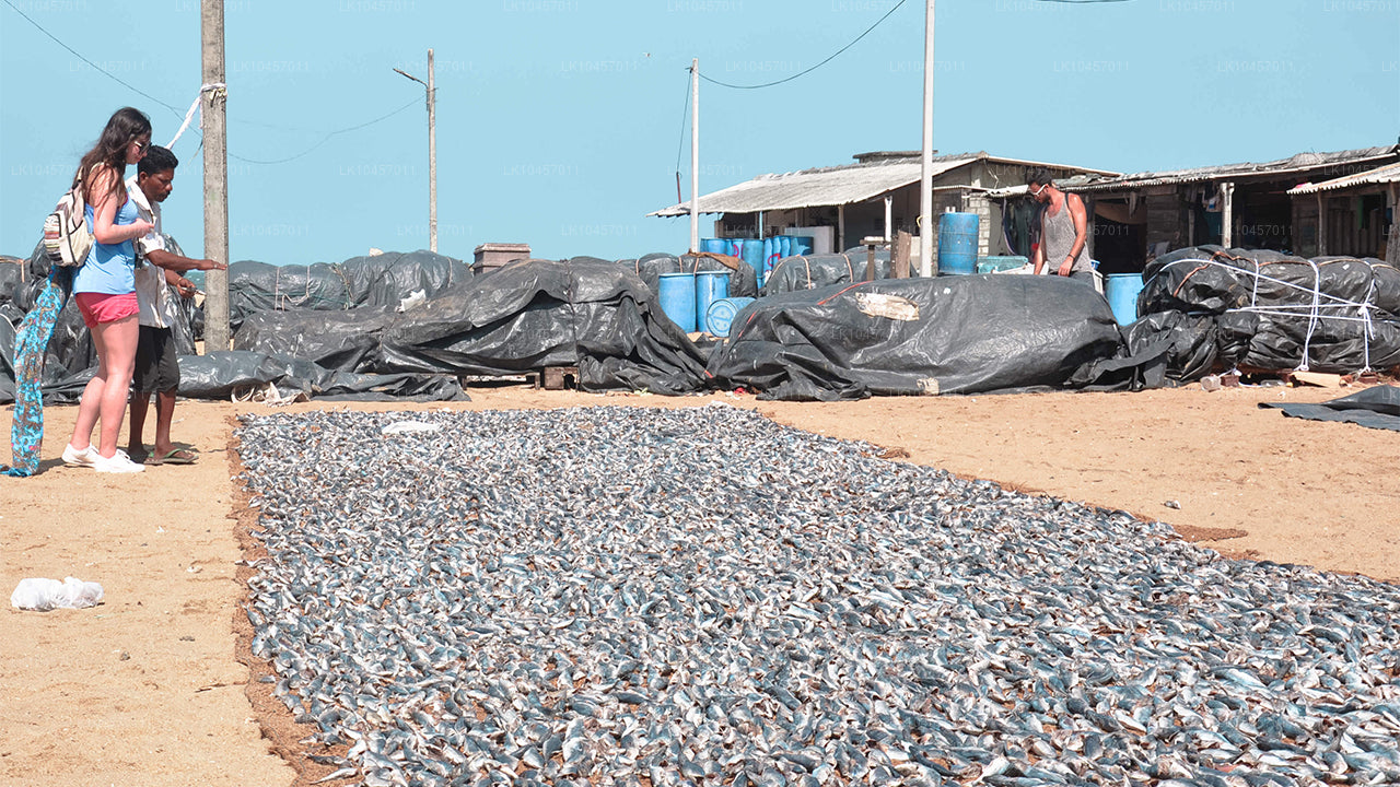 Rand ja linn (4 päeva)