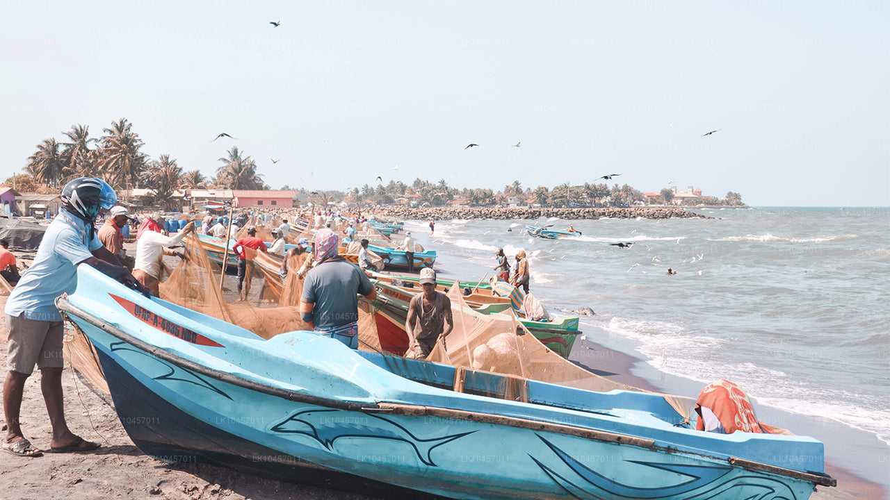 Rand ja linn (4 päeva)