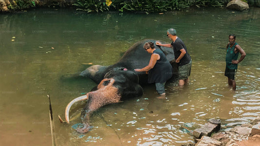 Coastal Belt of the South (5 Days)