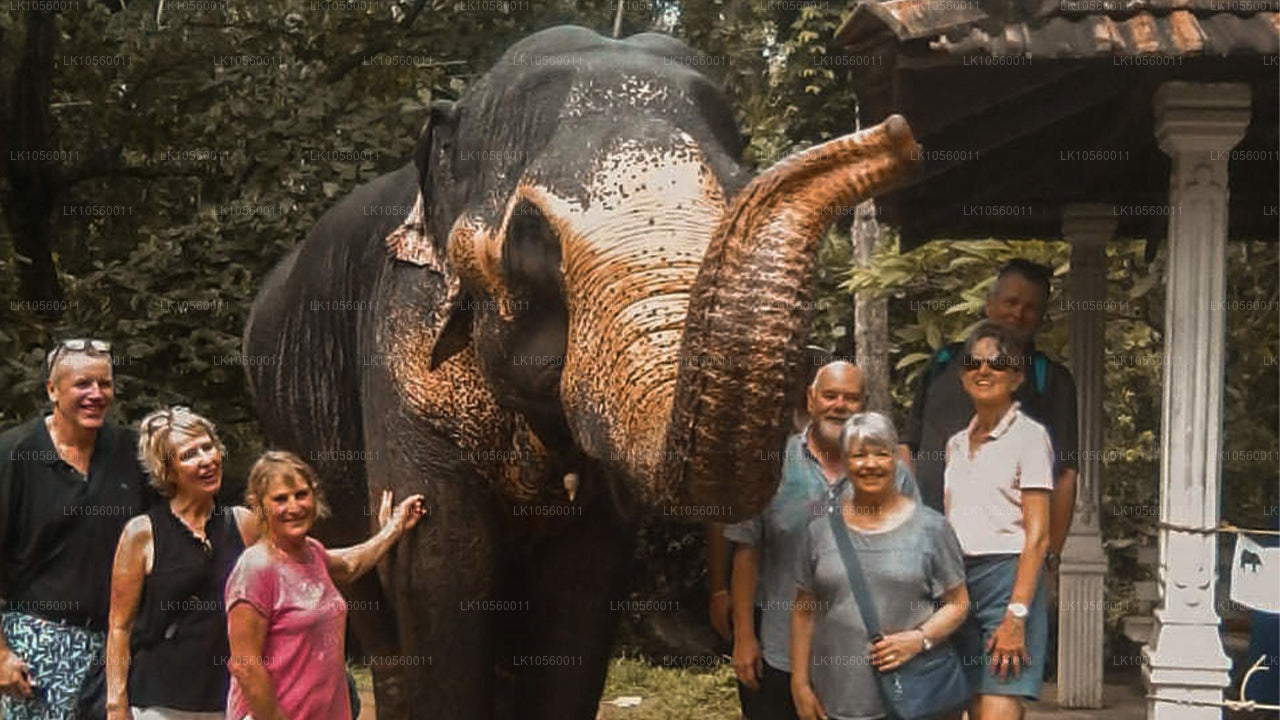 Coastal Belt of the South (5 Days)