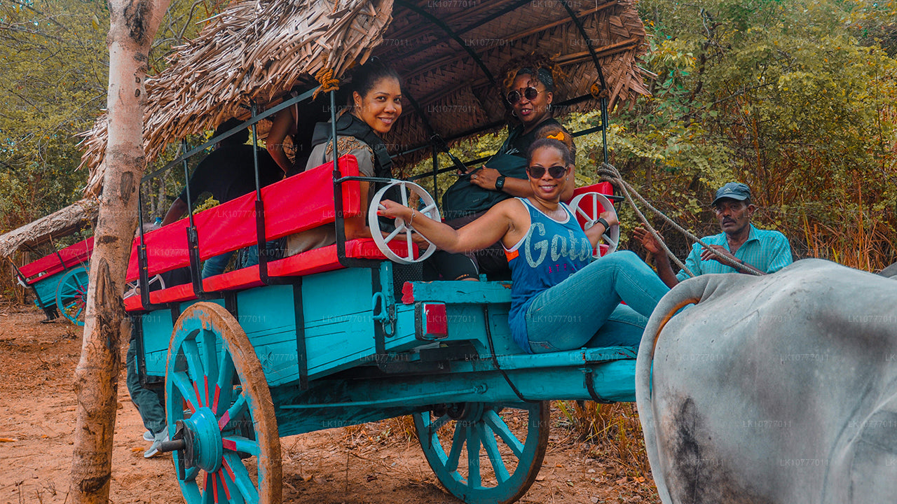 Nädal paradiisis (7 päeva)