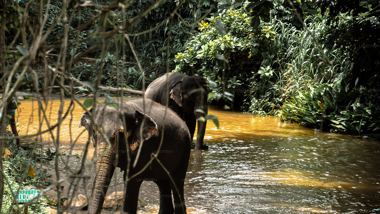 Nädal paradiisis (7 päeva)