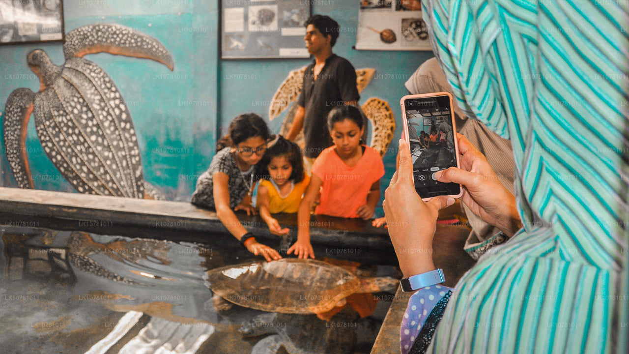 Golden Coast of the South (7 Days)