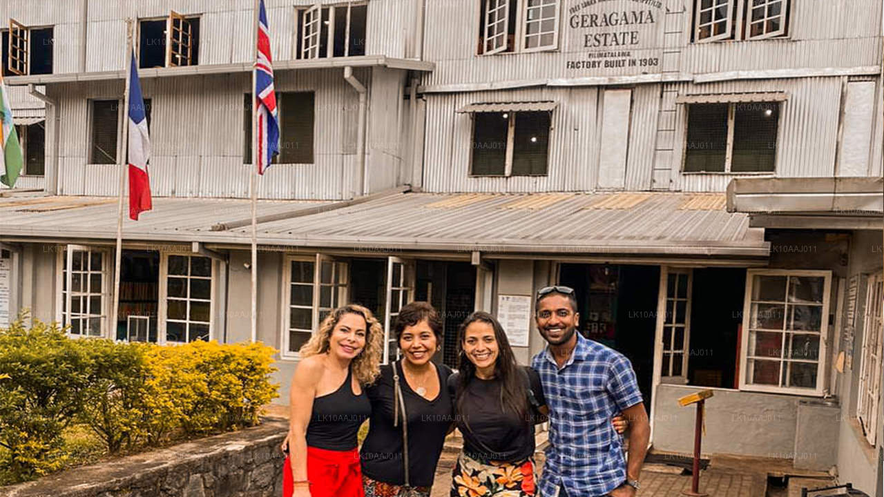 Ceylon Tea Tour (10 Days)