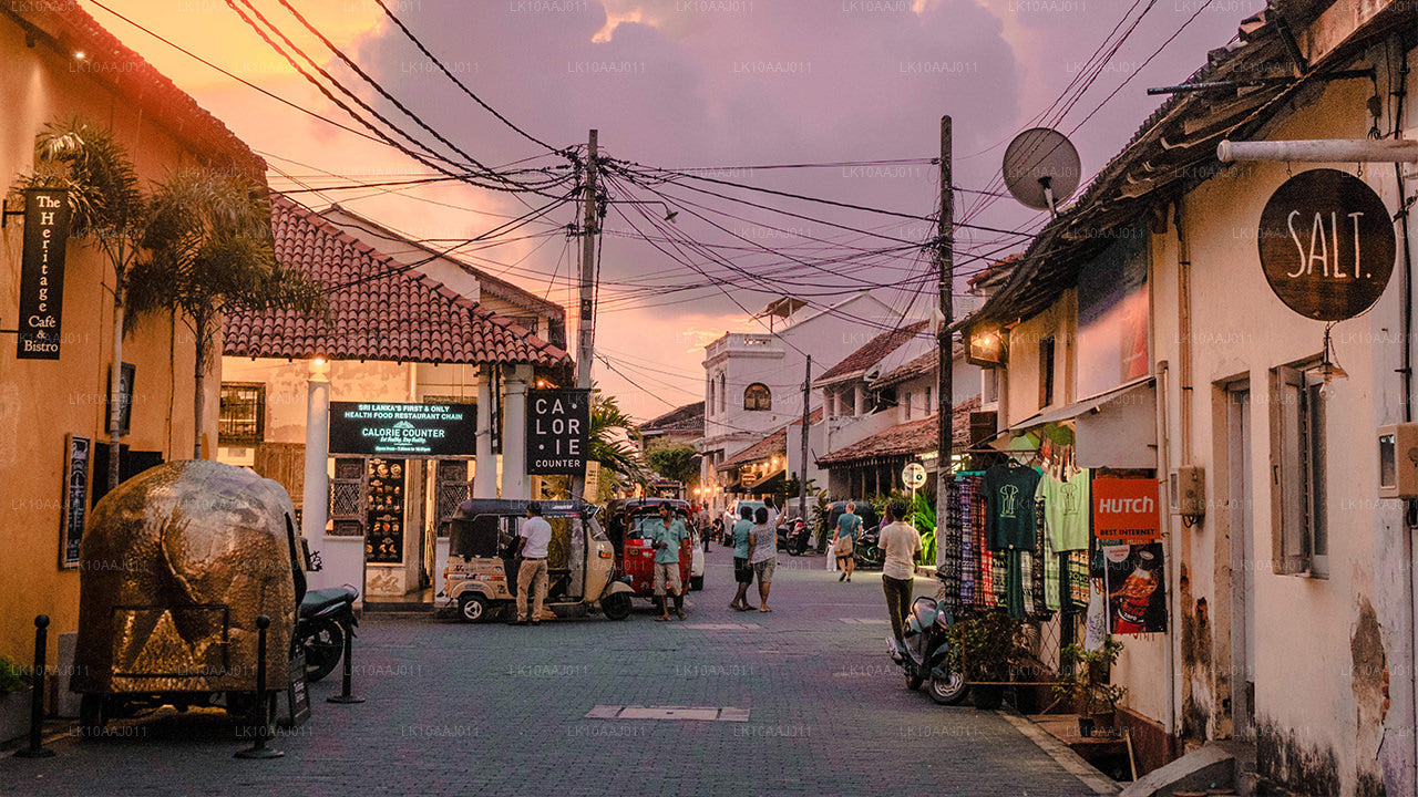 Ceylon Tea Tour (10 Days)