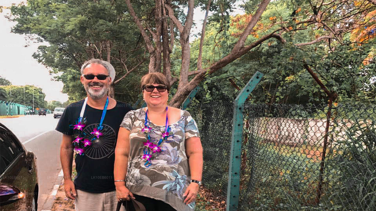 Spiritual Freedom (14 Days)