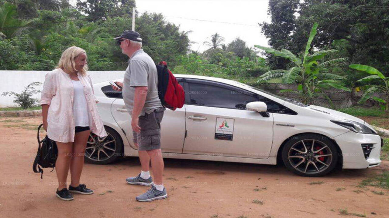 Autojuhiga standardauto rent