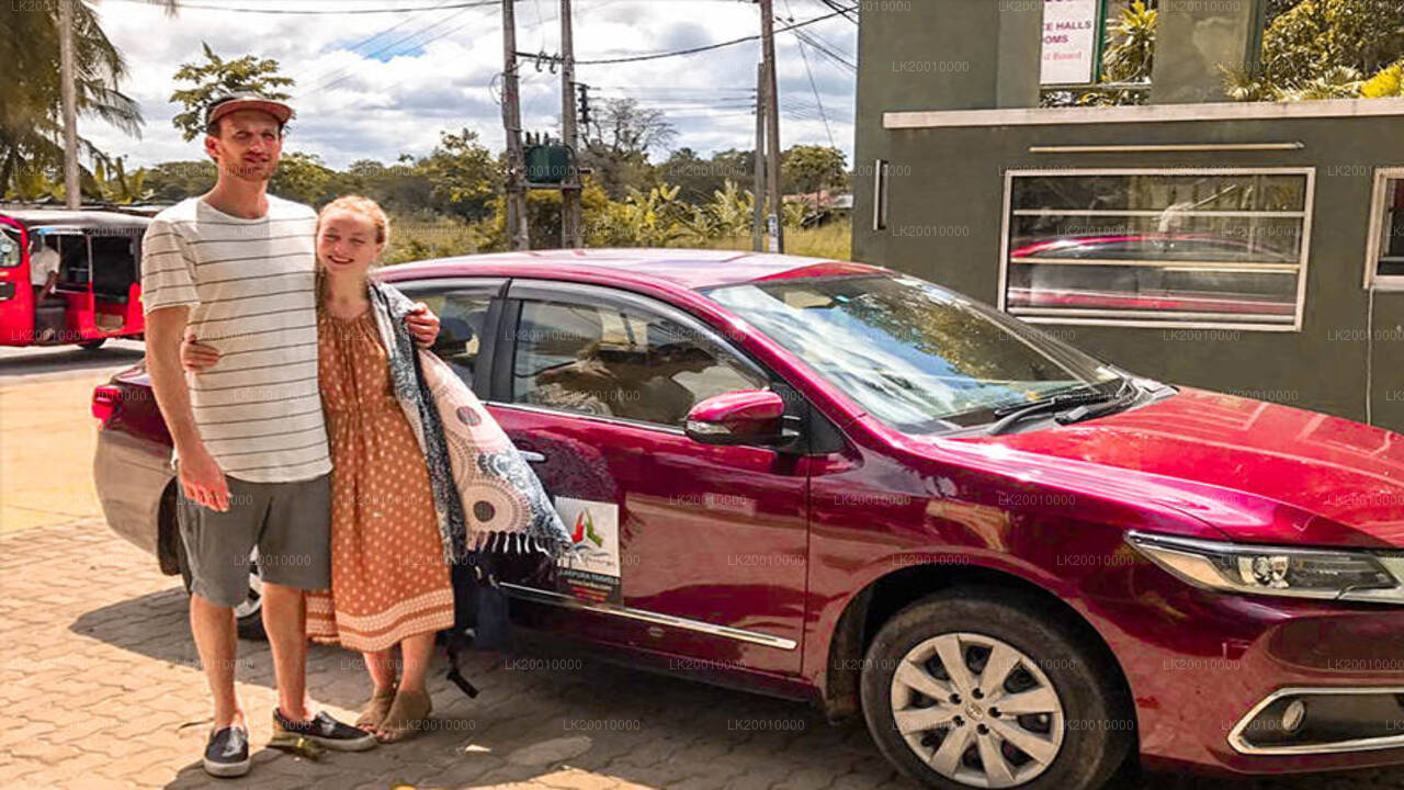 Autojuhiga standardauto rent