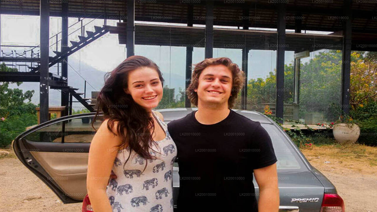 Autojuhiga standardauto rent