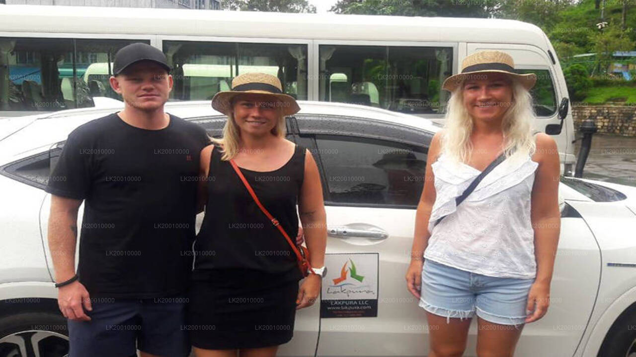 Autojuhiga standardauto rent