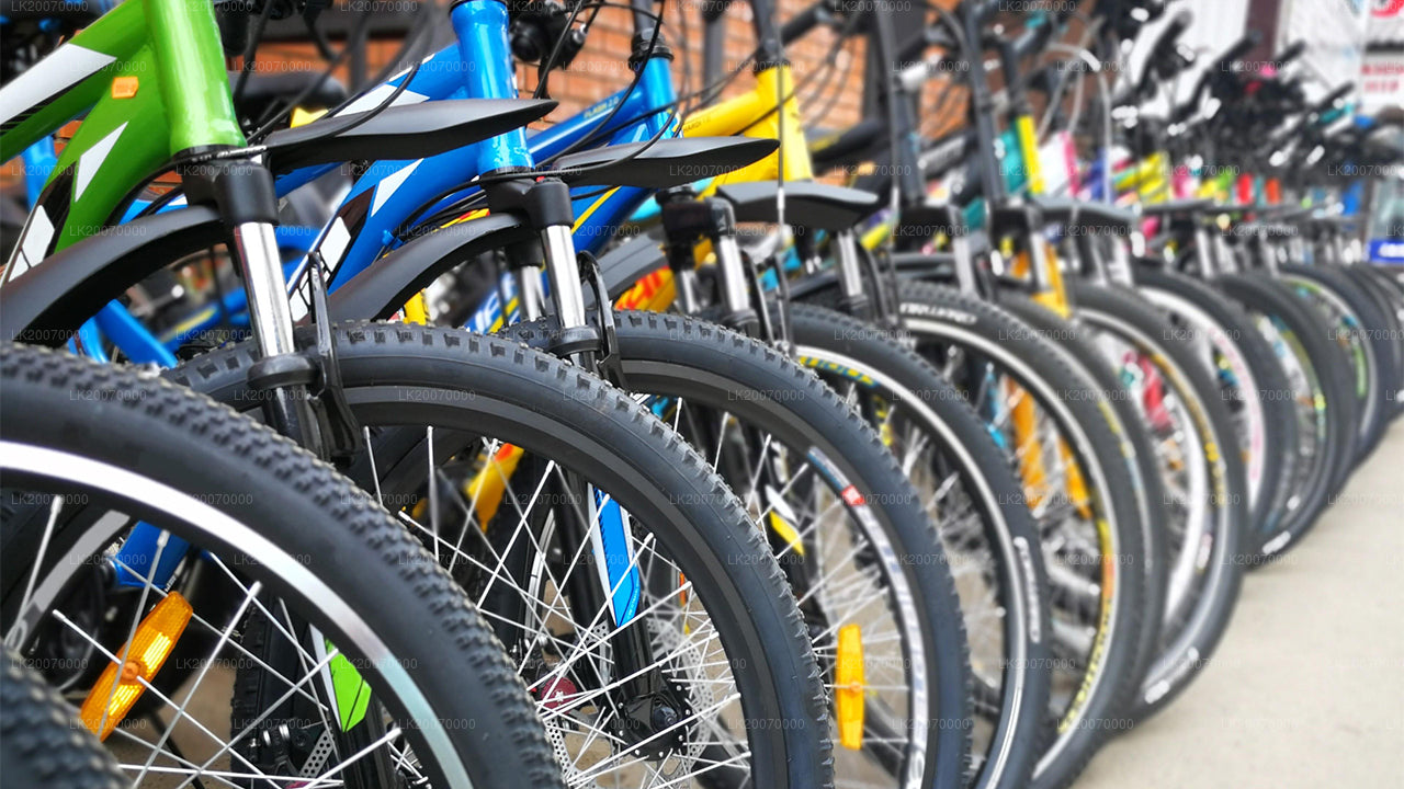 Mägijalgratta rent Kandyst