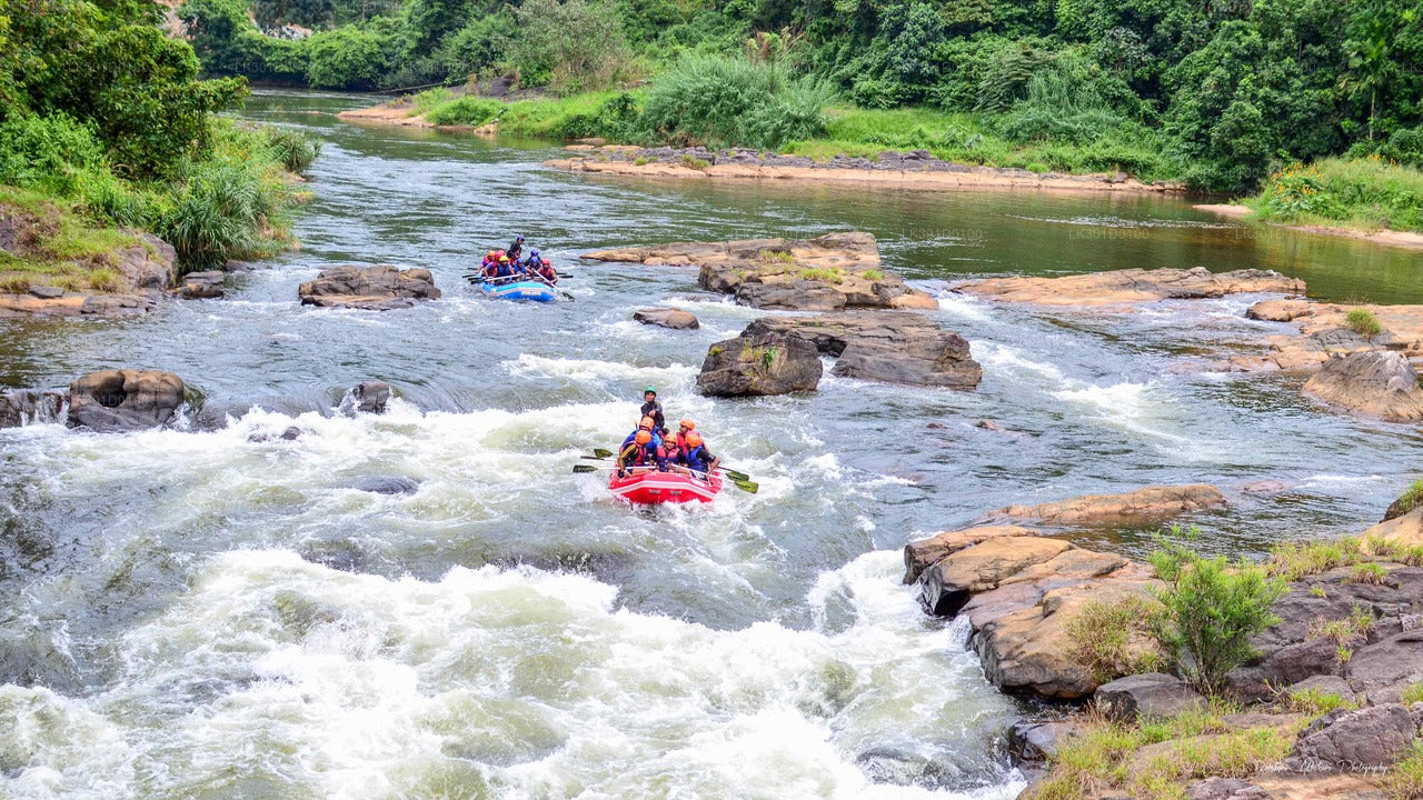Valgevee rafting Kitulgalast (5 km)