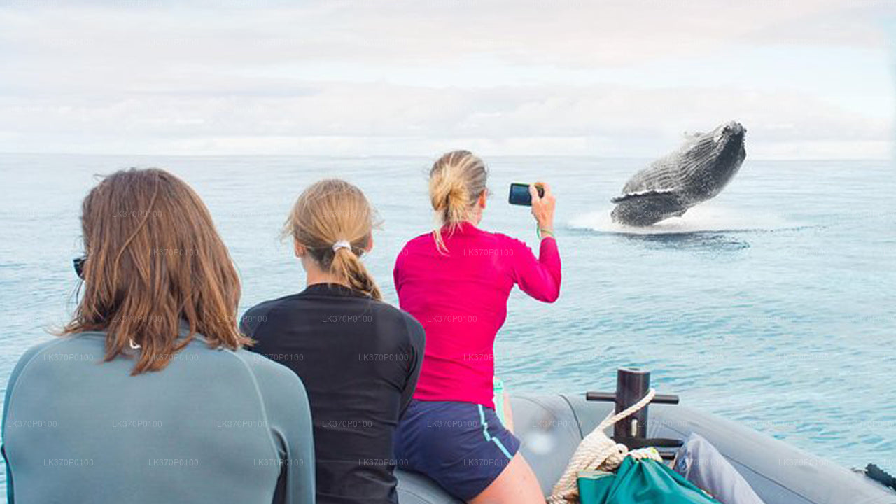 Vaalavaatlus Hiriketiyast jagatud paadis