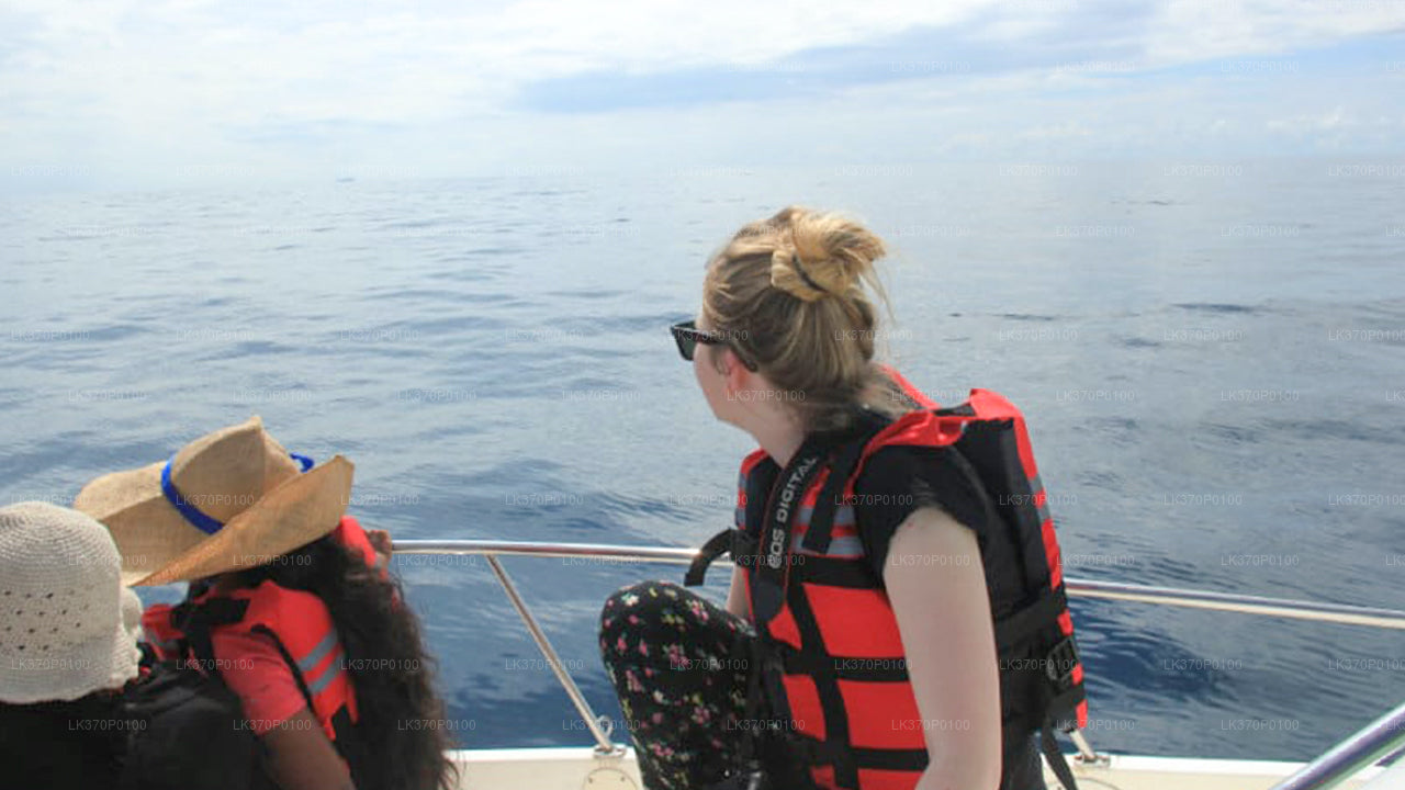 Vaalavaatlus Hiriketiyast jagatud paadis