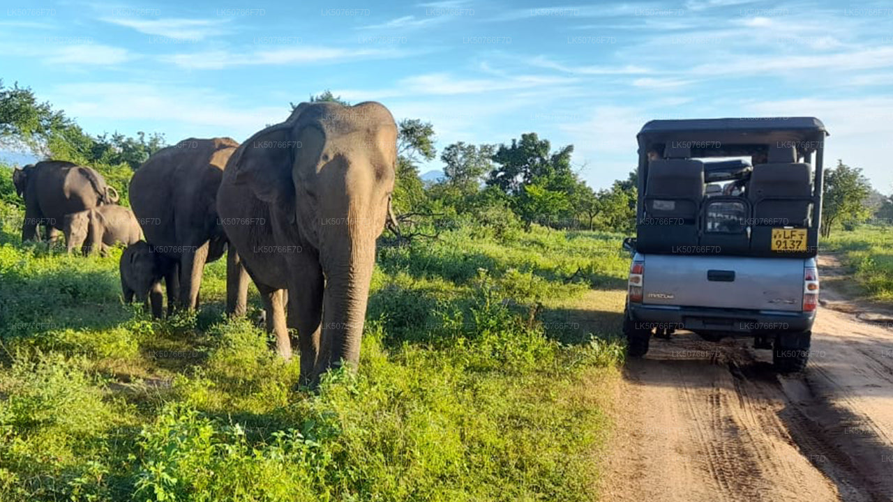 Udawalawe rahvuspargi privaatne safari loodusteadlasega