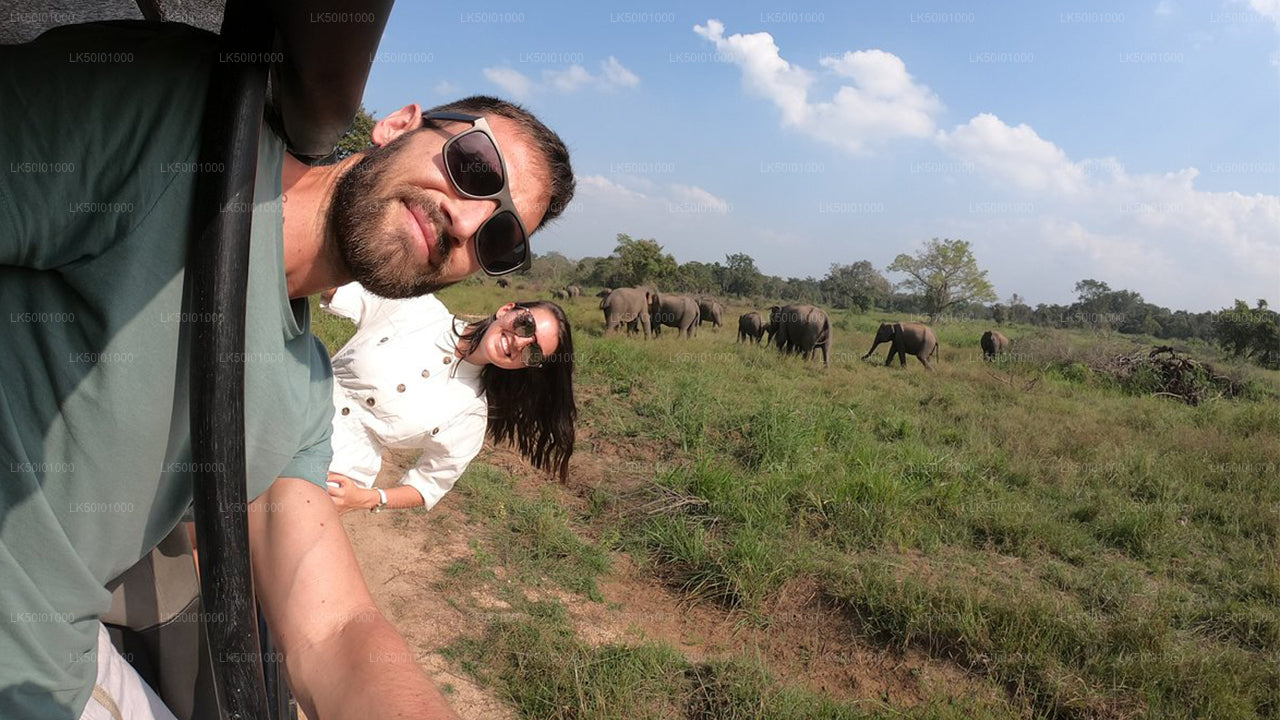 Wasgamuwa rahvuspargi privaatne safari