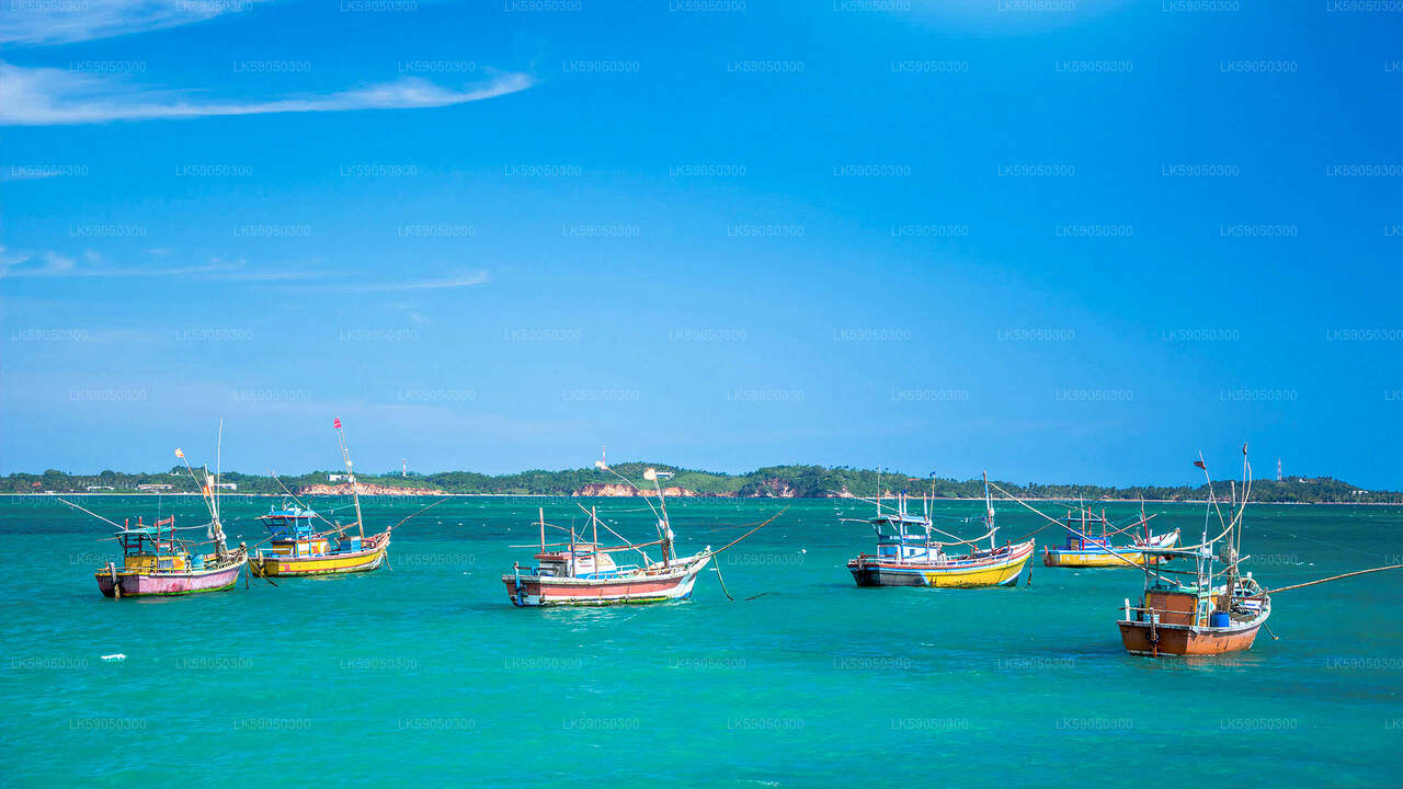 Lagoon Fishing from Negombo