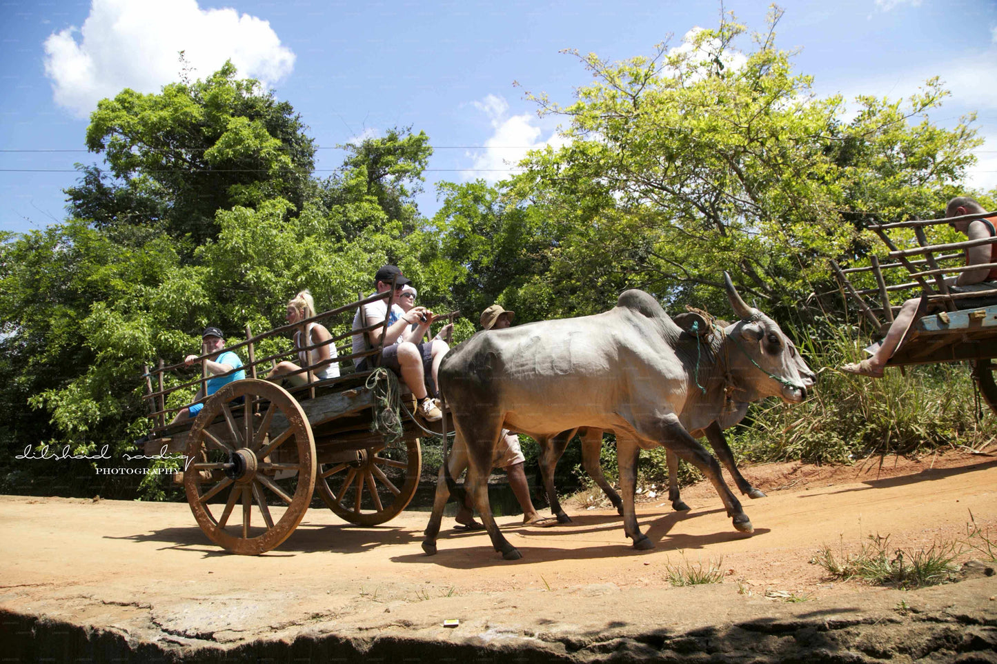 Sigiriya kalju- ja külatuur Colombost