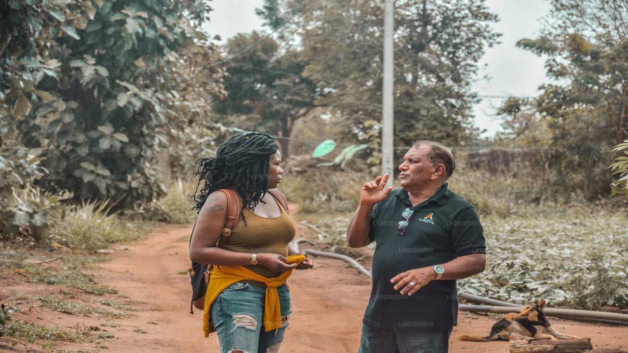 Hiriwadunna külareis Habaranast